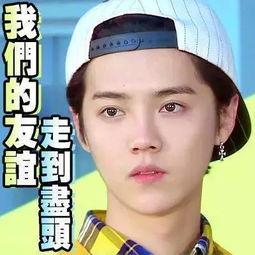 娱乐吃瓜主播真假对比